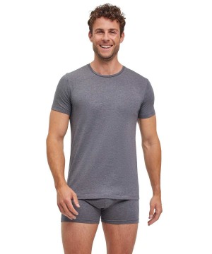 Falke 2-Pack T-Shirt Round-neck Daily Comfort Rövid Ujjú Ing Férfi Szürke | QHMF-01537