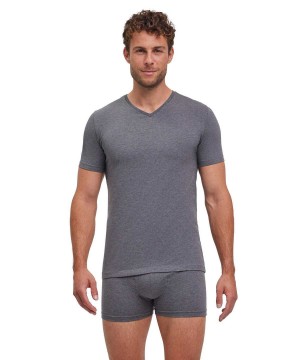 Falke 2-Pack T-Shirt V-neck Daily Comfort Rövid Ujjú Ing Férfi Szürke | PWYE-50346