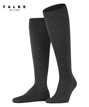 Falke ClimaWool Knee-high Socks Zokni Férfi Szürke | HPBW-52194