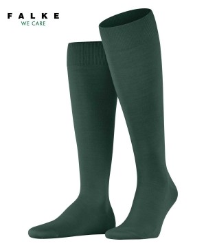 Falke ClimaWool Knee-high Socks Zokni Férfi Zöld | MUGL-90632