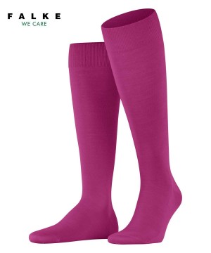 Falke ClimaWool Knee-high Socks Zokni Férfi Piros | RCQH-59674