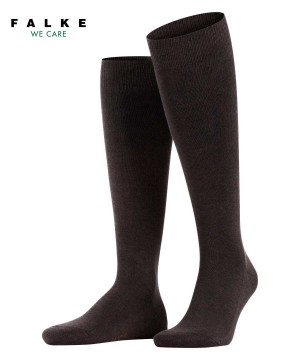 Falke Family Knee-high Socks Zokni Férfi Barna | WHSD-81942