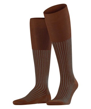 Falke Oxford Stripe Knee-high Socks Zokni Férfi Barna | FPMI-18953