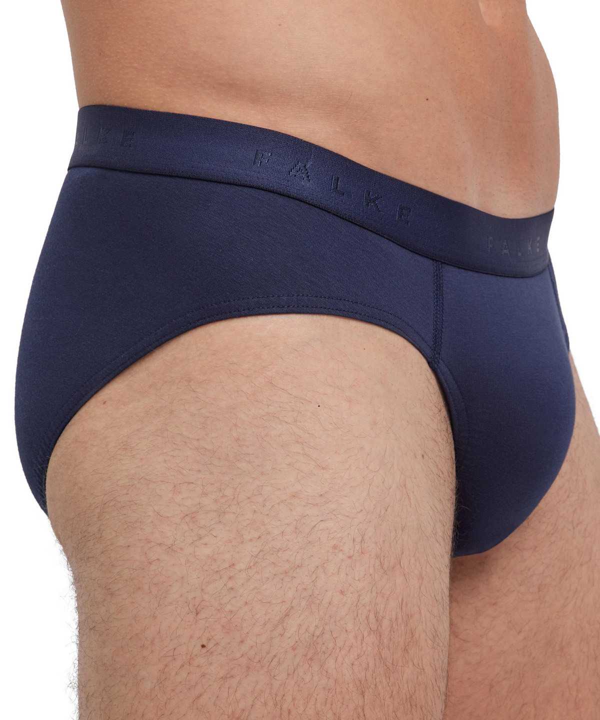 Falke 2-Pack Slip Daily Comfort Boxer & Slips Férfi Szürke | LNYW-78160