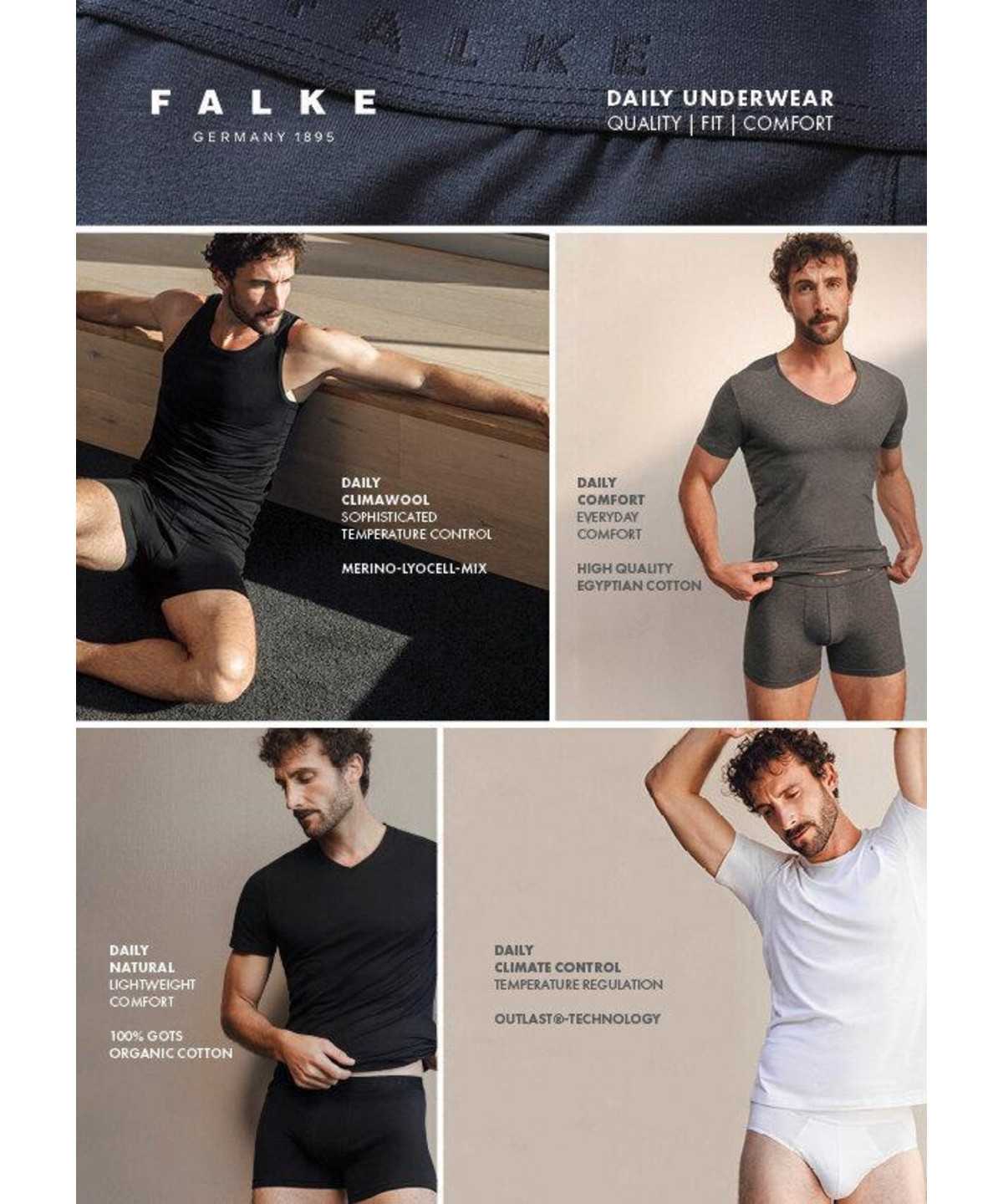 Falke 2-Pack Slip Daily Comfort Rövidnadrágok Férfi Szürke | PEUB-16938