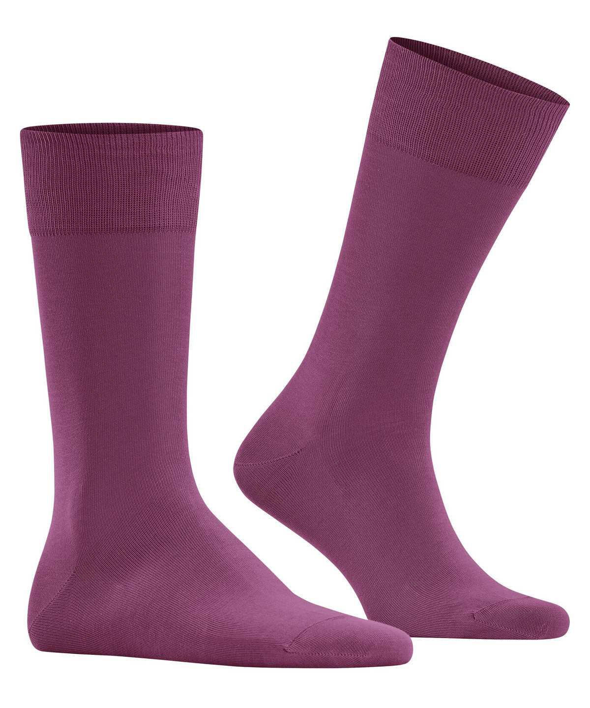 Falke Cool 24/7 Socks Zokni Férfi Lila | NXWV-29163