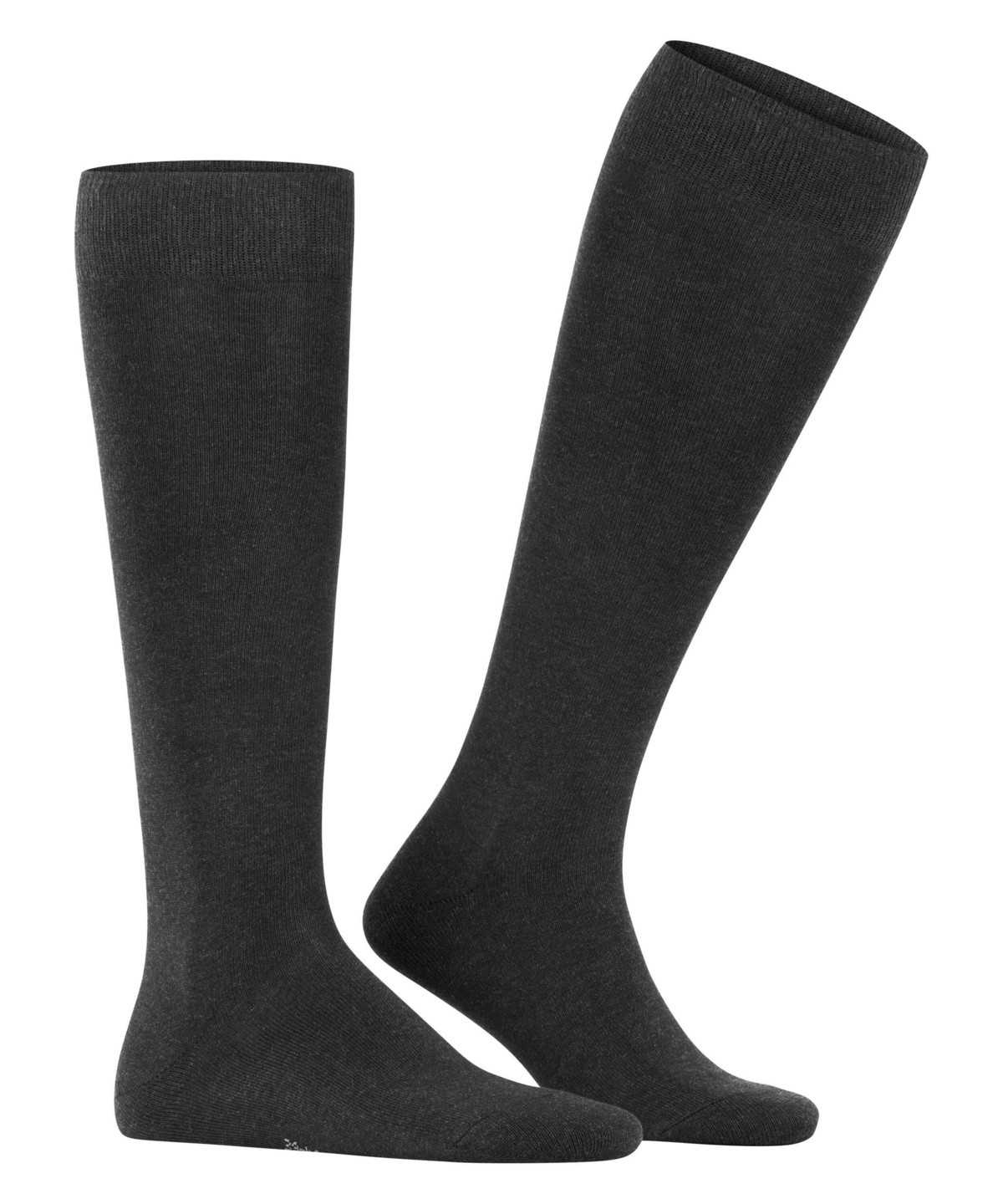 Falke Family Knee-high Socks Zokni Férfi Szürke | CEPX-94135