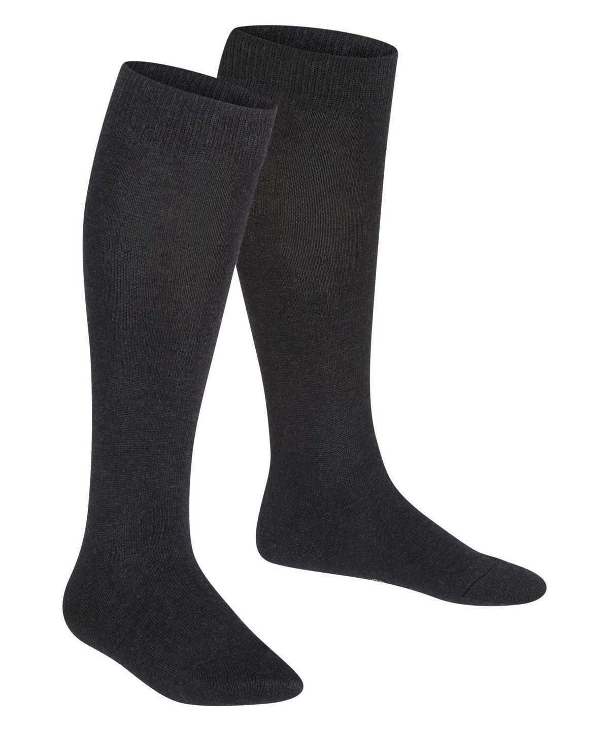 Falke Family Knee-high Socks Zokni Gyerek Szürke | RGDQ-90846