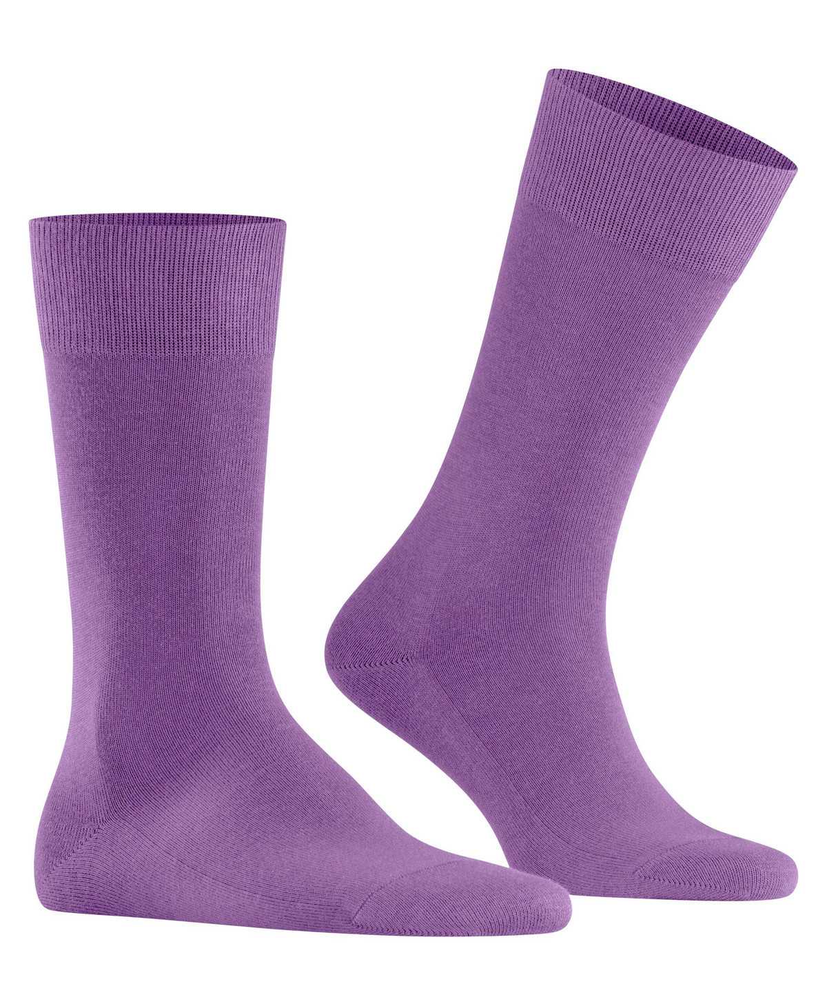 Falke Family Socks Zokni Férfi Lila | OGUA-84271