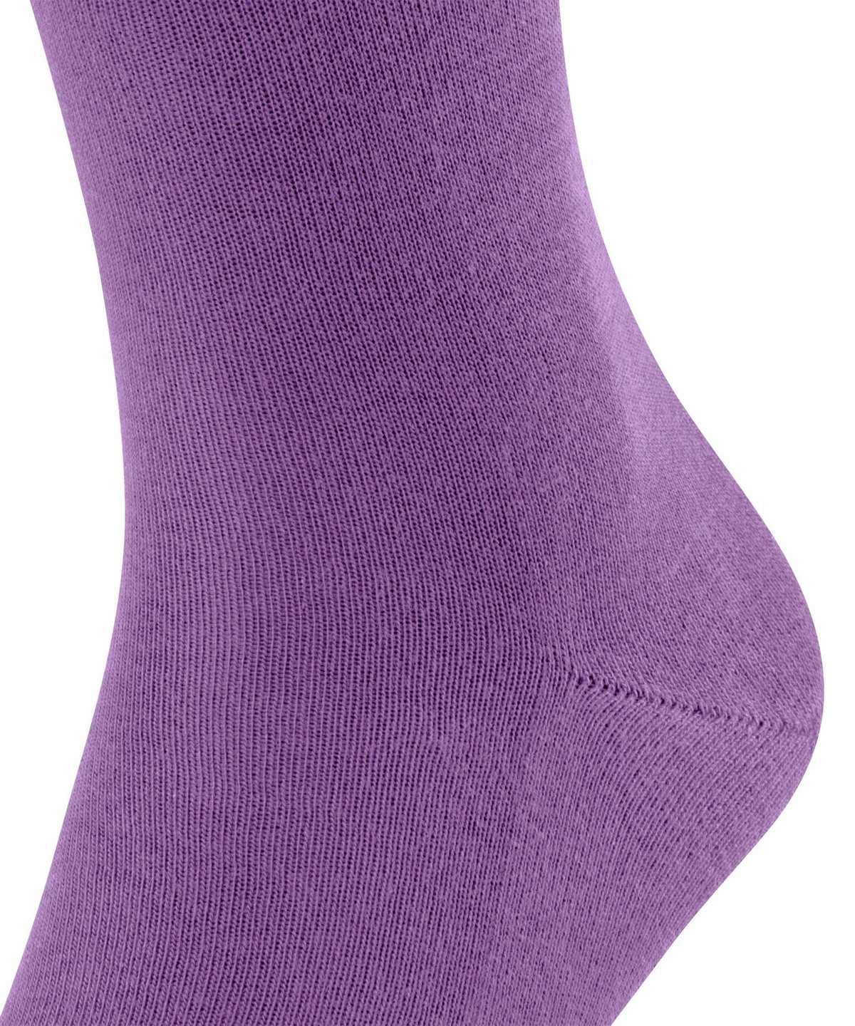 Falke Family Socks Zokni Férfi Lila | OGUA-84271