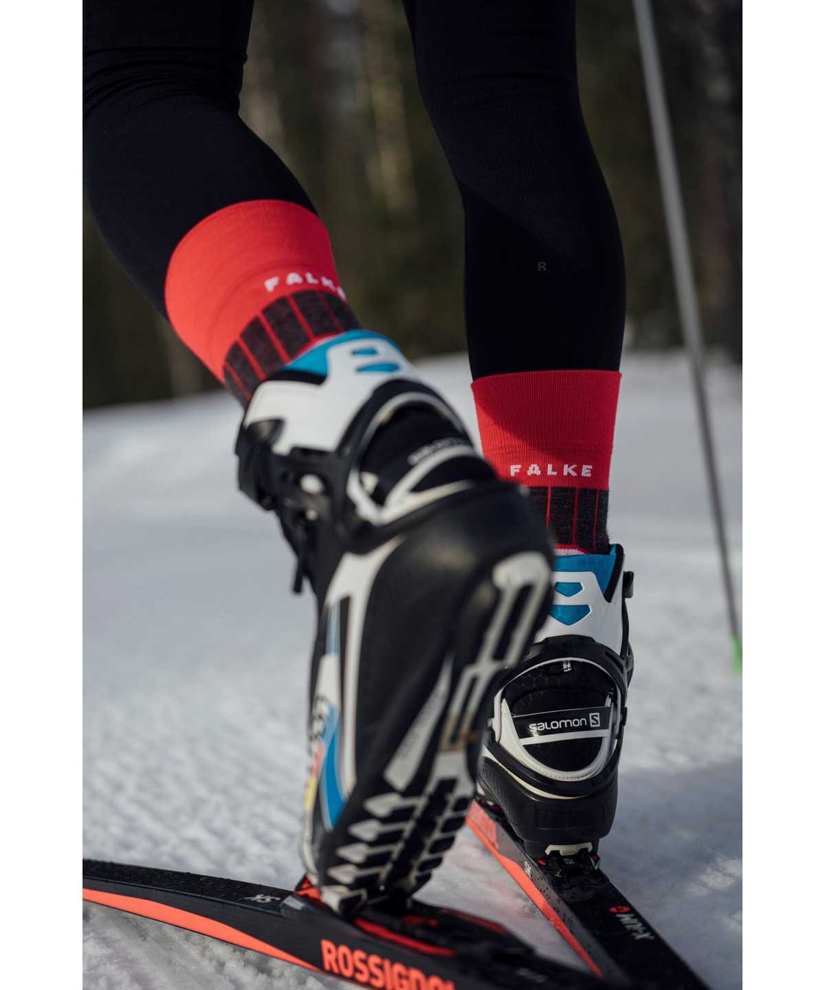 Falke SC1 Skiing Socks Zokni Férfi Piros | NHBF-74983